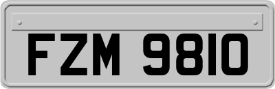 FZM9810