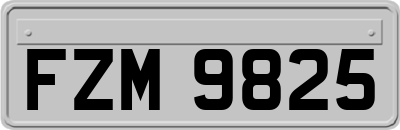 FZM9825