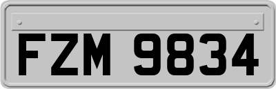 FZM9834