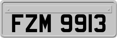 FZM9913