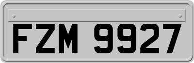 FZM9927