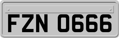 FZN0666