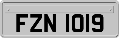 FZN1019