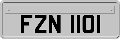 FZN1101