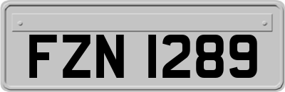 FZN1289