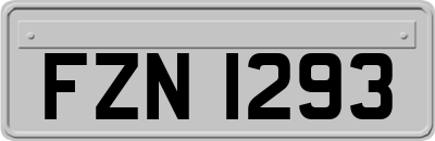 FZN1293