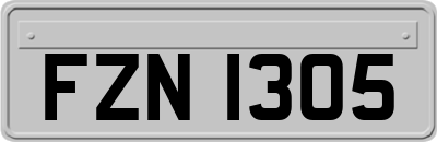 FZN1305
