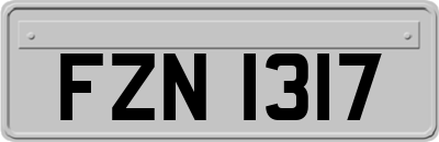 FZN1317