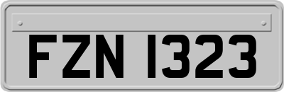 FZN1323