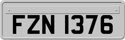 FZN1376