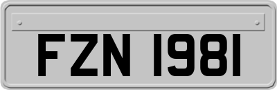 FZN1981
