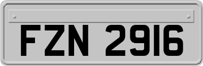 FZN2916
