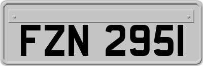 FZN2951