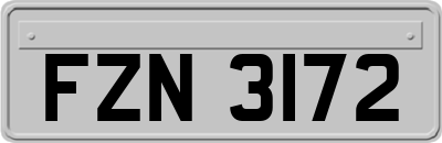 FZN3172