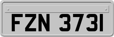 FZN3731