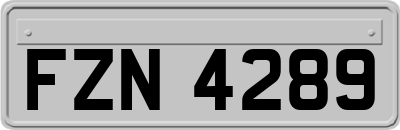 FZN4289