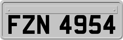 FZN4954