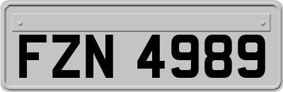 FZN4989