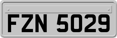 FZN5029