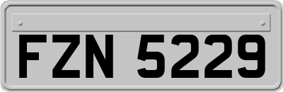 FZN5229