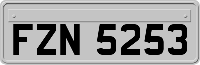 FZN5253