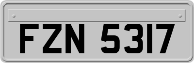 FZN5317
