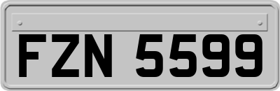 FZN5599