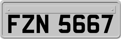 FZN5667
