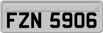 FZN5906