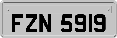 FZN5919