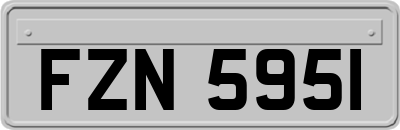 FZN5951