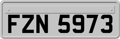 FZN5973