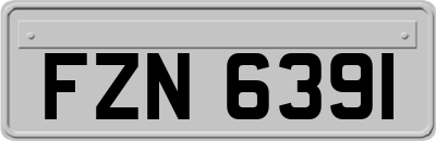 FZN6391