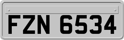 FZN6534