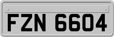 FZN6604