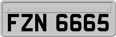 FZN6665