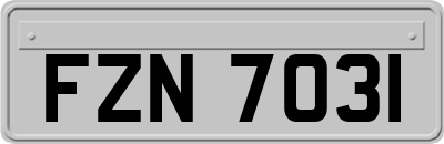 FZN7031