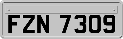 FZN7309