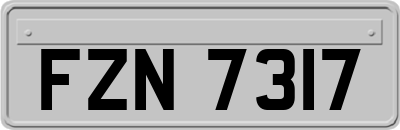 FZN7317