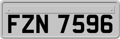 FZN7596