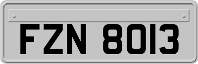 FZN8013