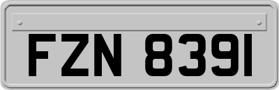 FZN8391