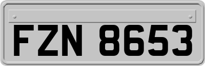 FZN8653