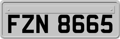 FZN8665