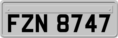 FZN8747