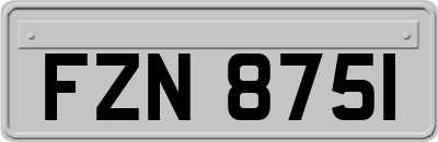 FZN8751