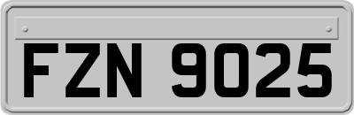 FZN9025
