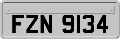FZN9134