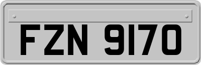 FZN9170