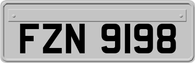 FZN9198